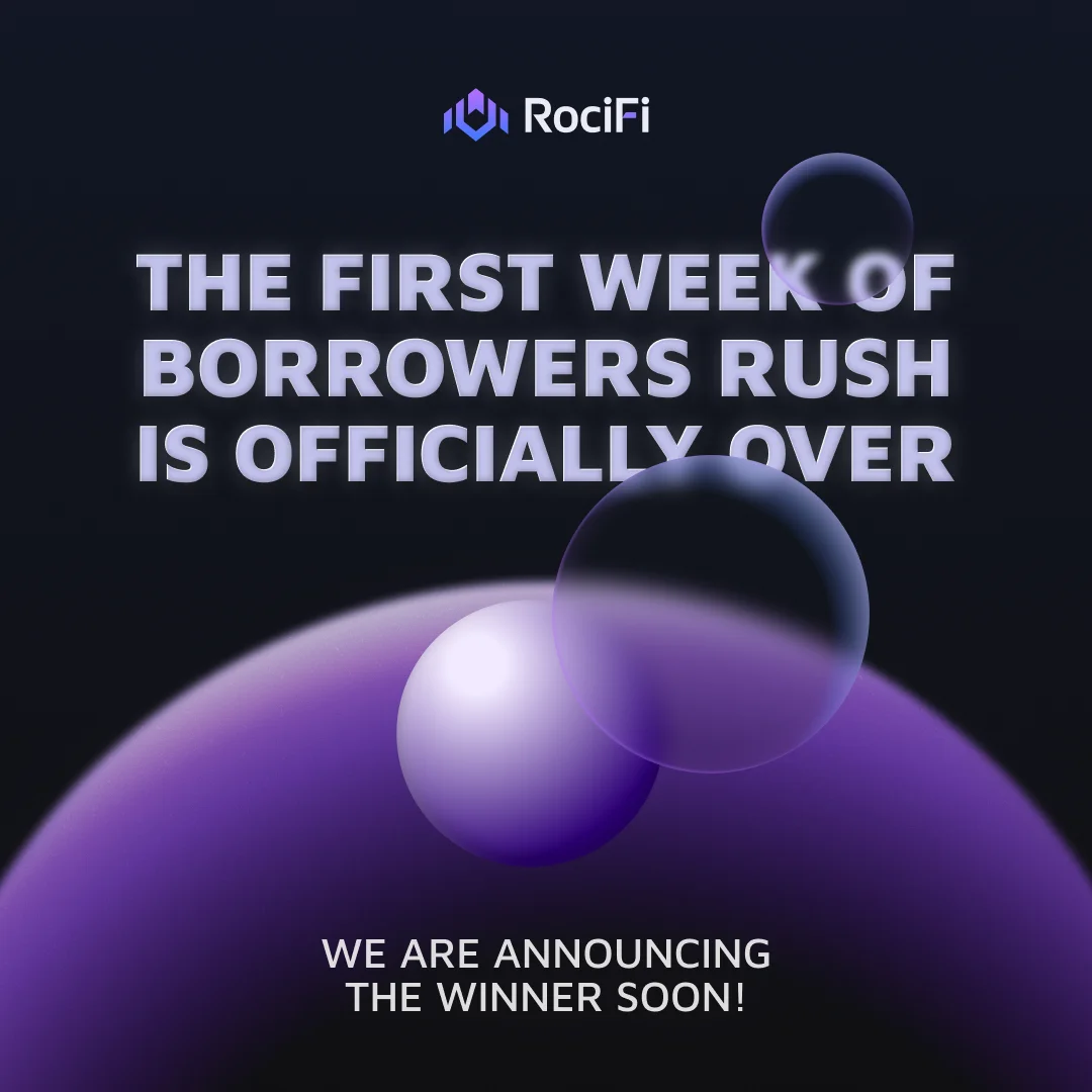 RociFi brand identity introduction